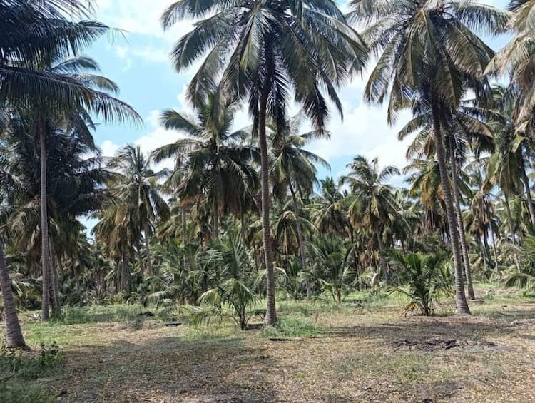 Single Property Image
