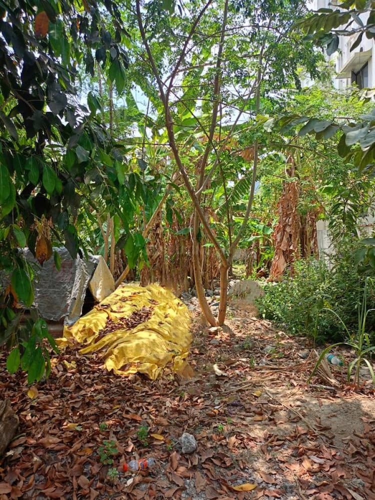 site for sale 