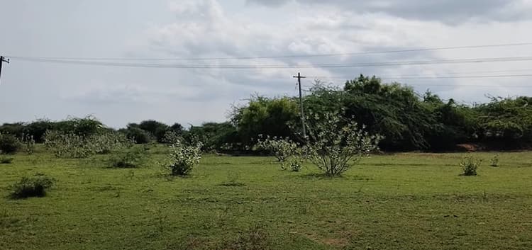 Low Budget Land for Sale