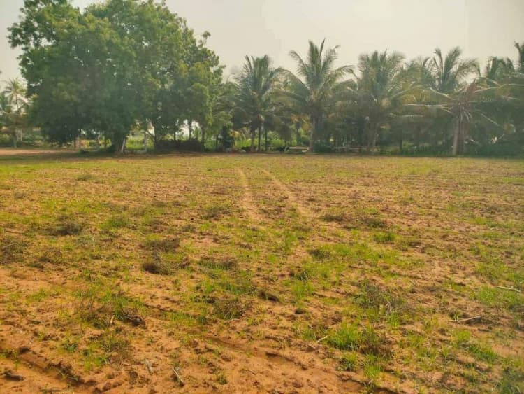 agri land for sale