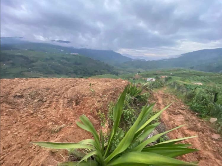 Beautiful valley and mountain view property 