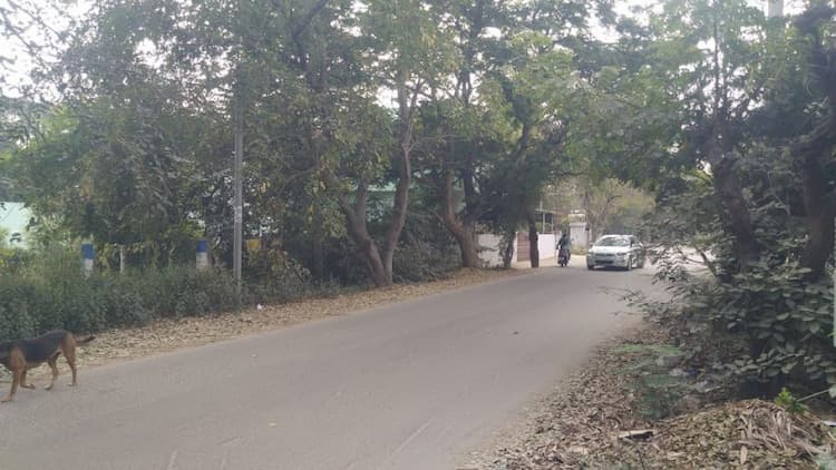  Residentel plot for sale