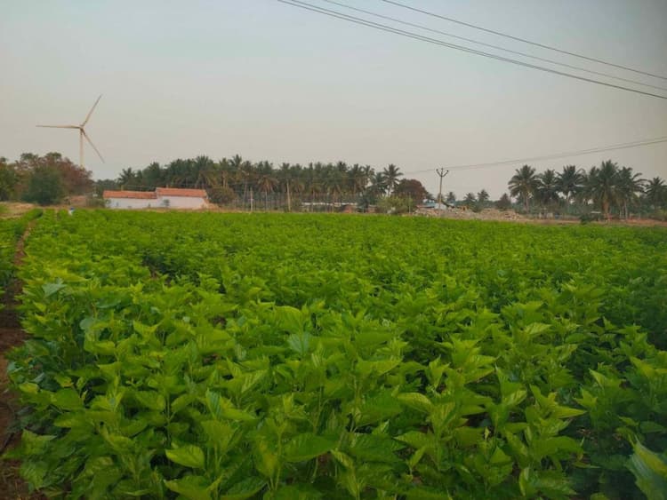 Single Property Image