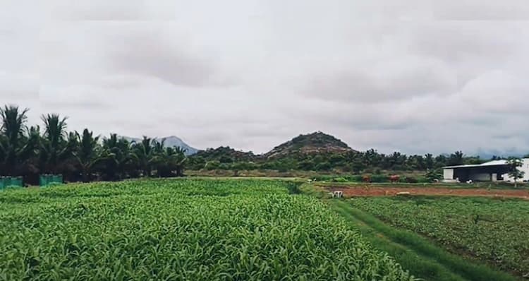 Single Property Image