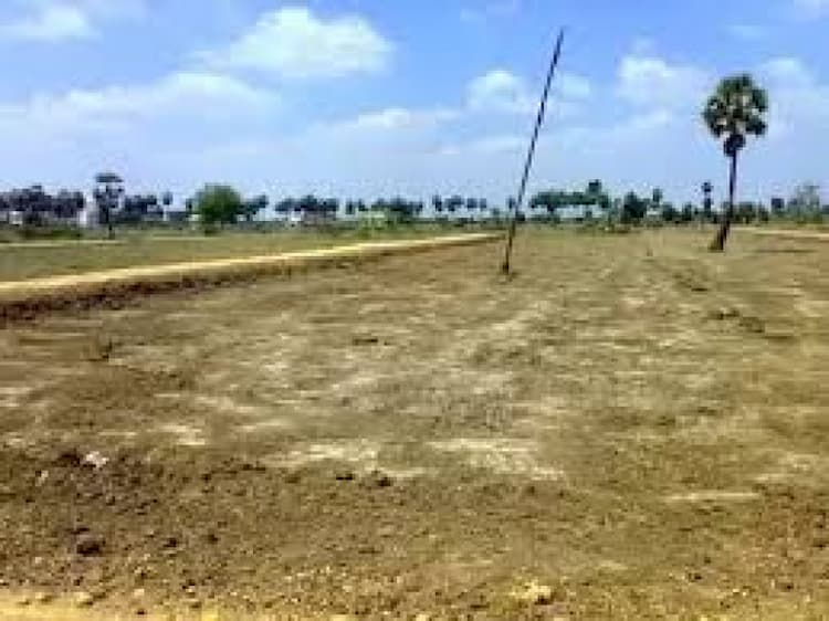 Plot sale