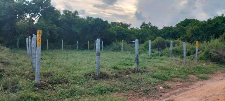 Single Property Image