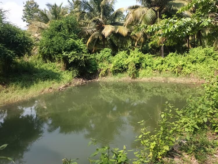 13 Acer coconut farm land for sale