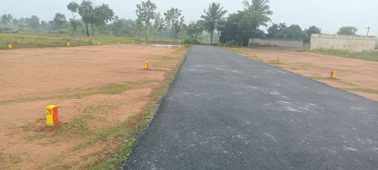 DTCP Plots for Sale in Walajapet