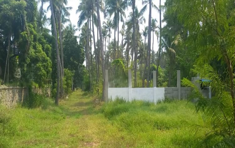 Land for sales
