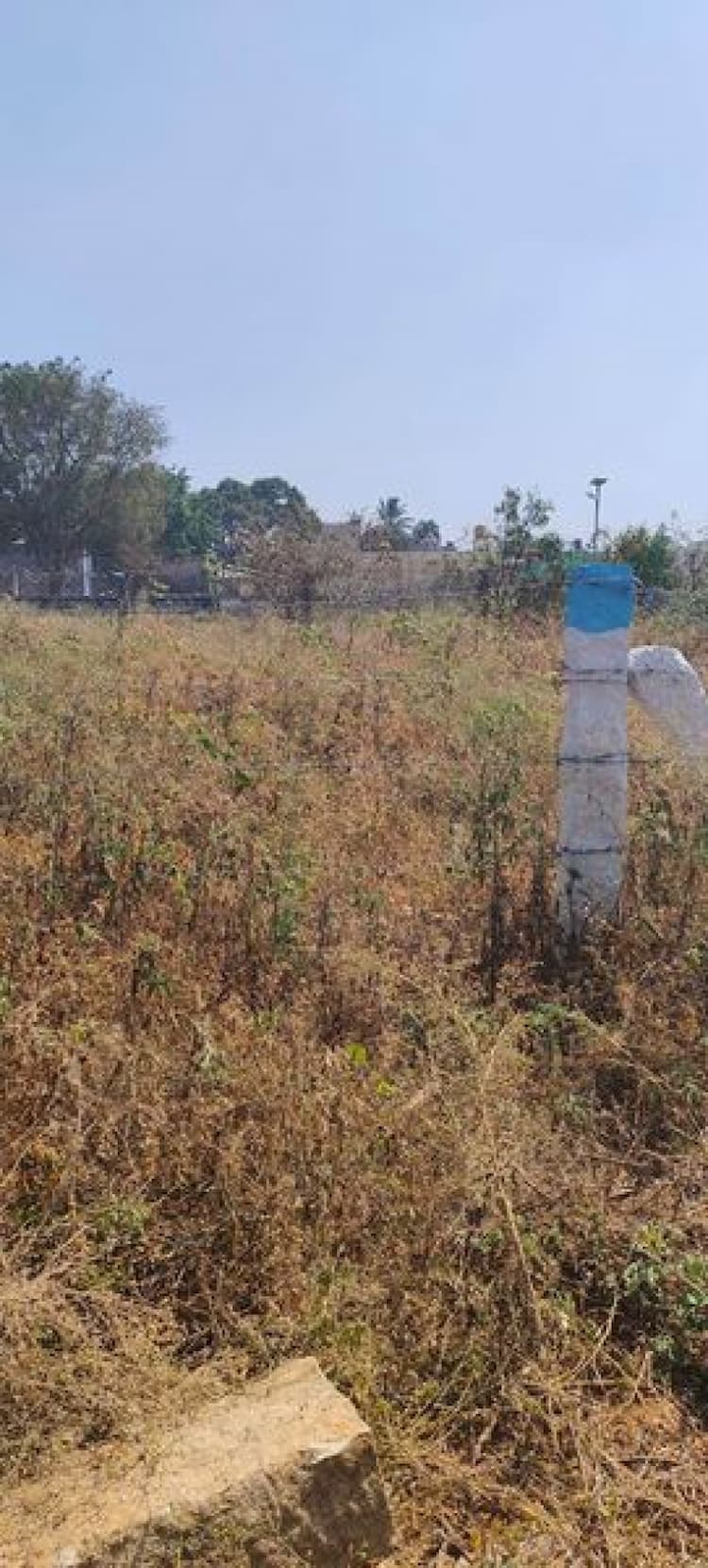 10 cent plot for sale