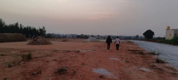 Land for sale
