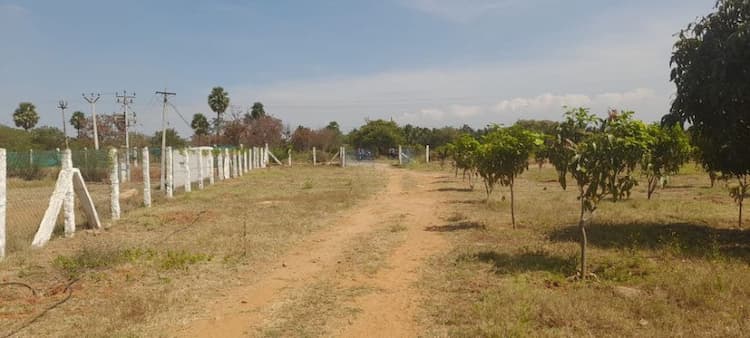 site for sale