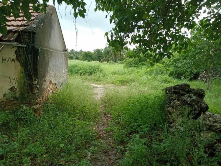 Single Property Image