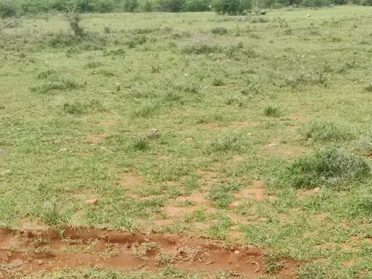 1.10 Acre Land for Sale