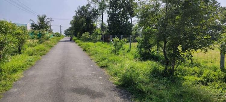 Single Property Image