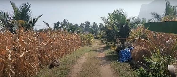 1.6 Acre Land for Sale