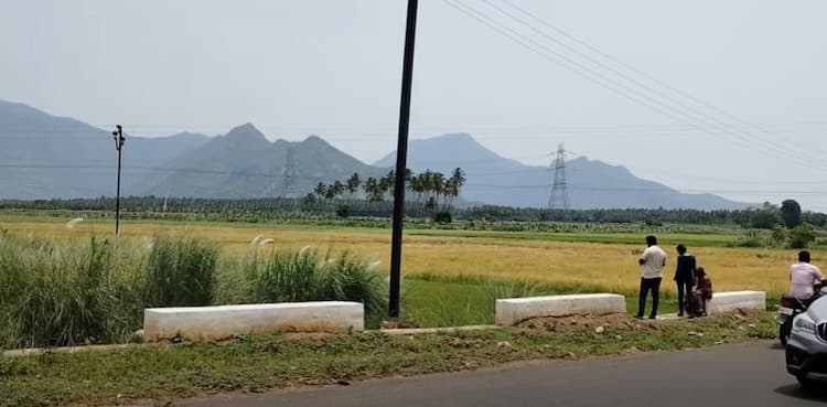 Single Property Image