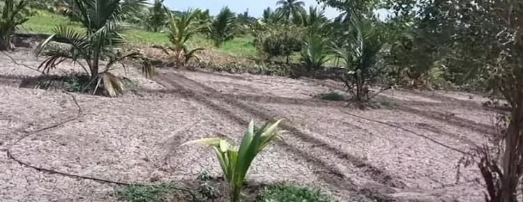 Land with RC House for Sale