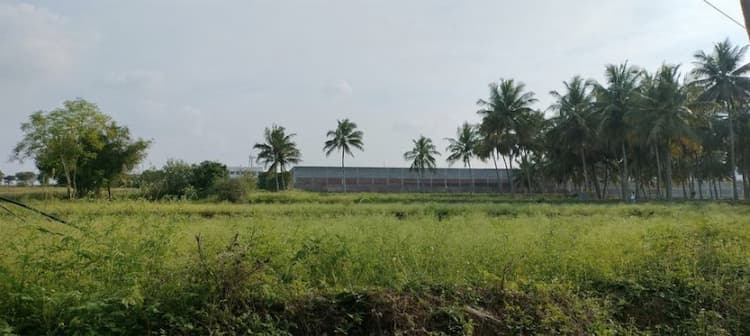 agri land for sale