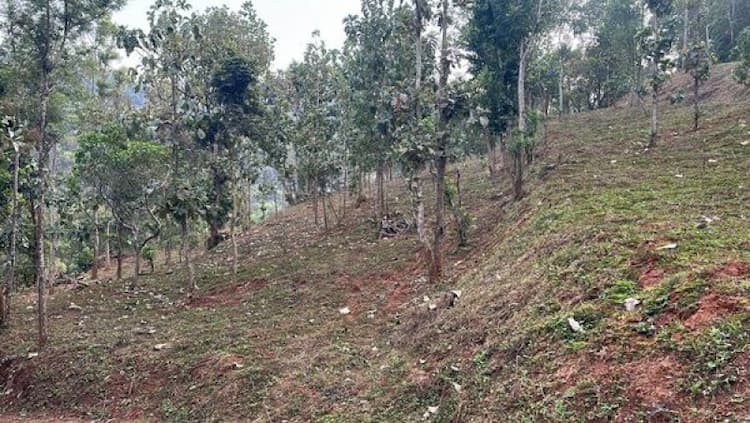 12 acre land for sale