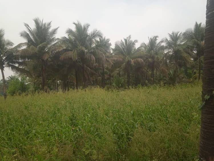 LAND FOR SALE