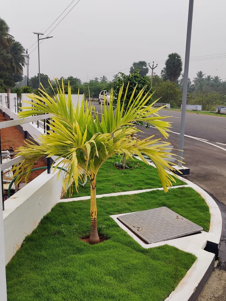 Single Property Image