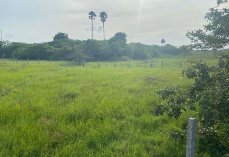 Land for sale