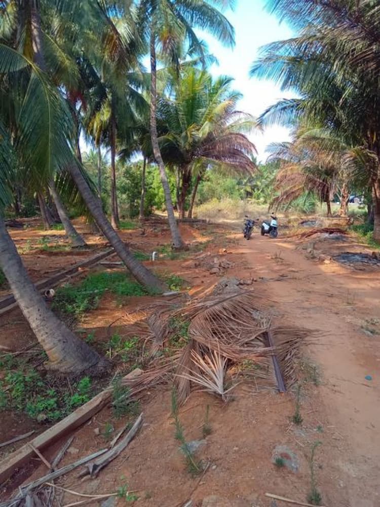 Single Property Image