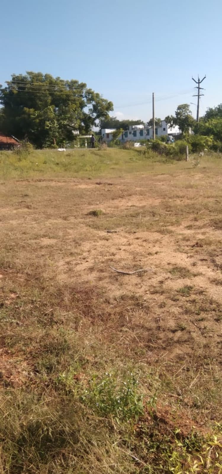 Plot sale