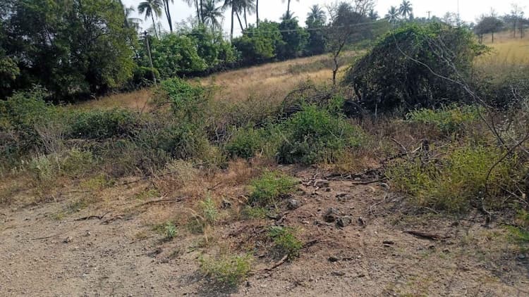 4 Acre Land for Sale