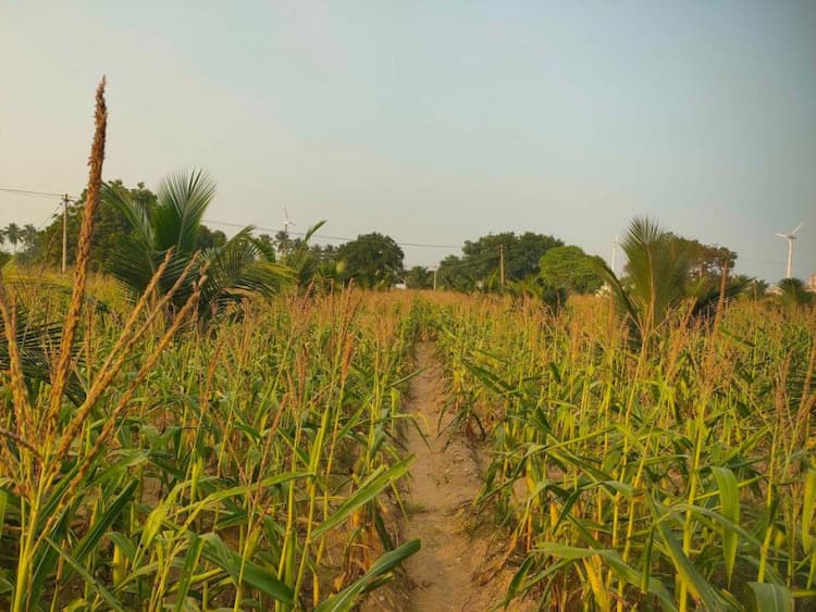 Single Property Image