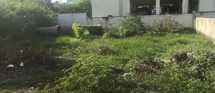 Land for sales