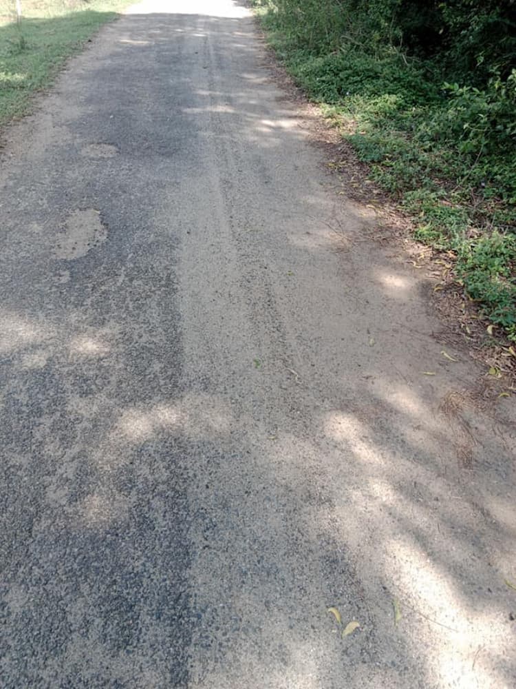 Single Property Image