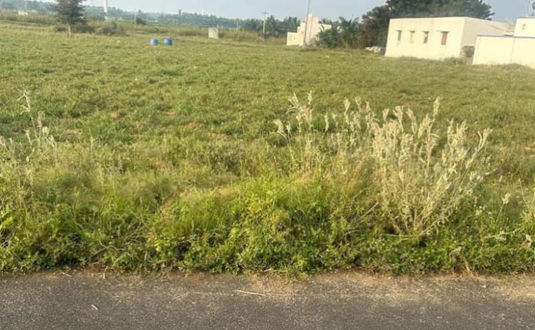 Land for Sale in Udumalaipettai