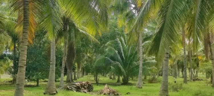 Single Property Image