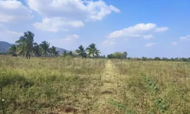 Land for sales