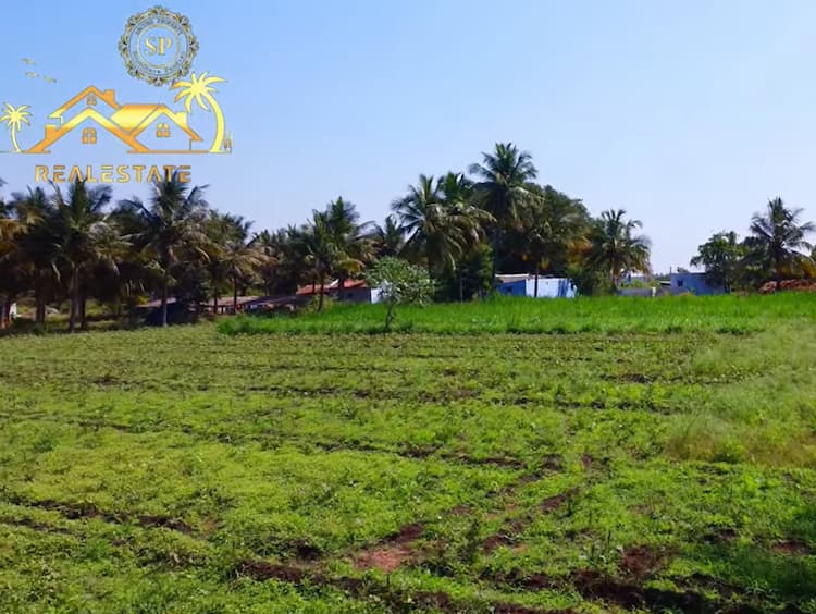 1.25 Acre Land for Sale