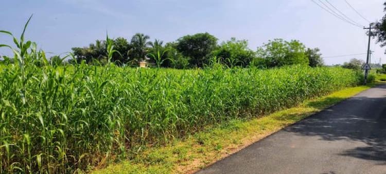 Single Property Image