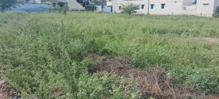 40 Cent Land for Sale