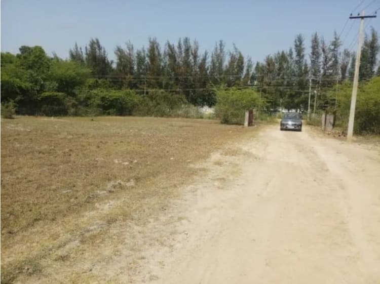 Agriculture Land for Sale