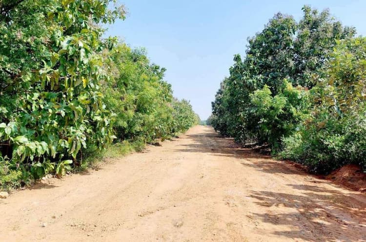 Single Property Image