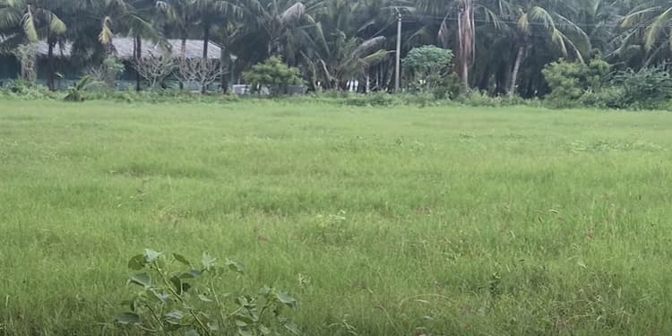 Single Property Image