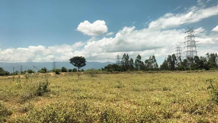 Land for Sale