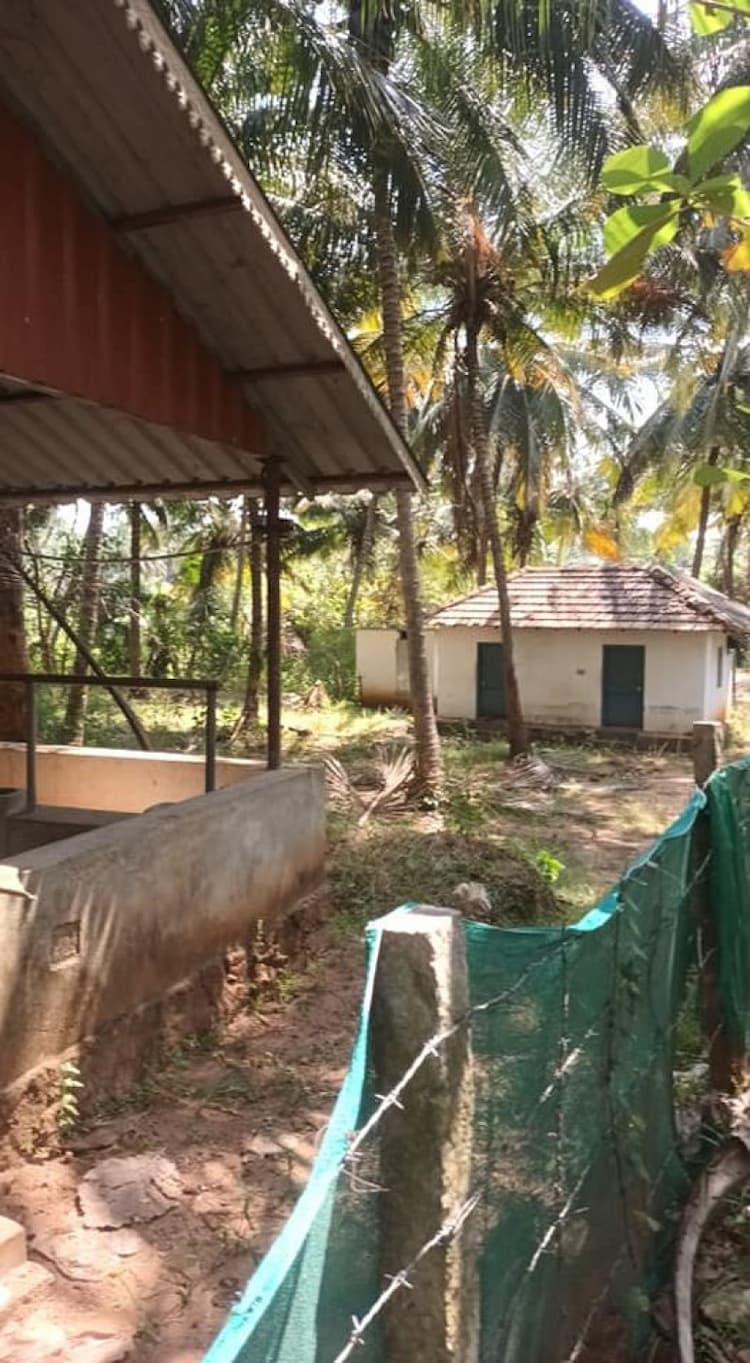 coconut farm land for sale