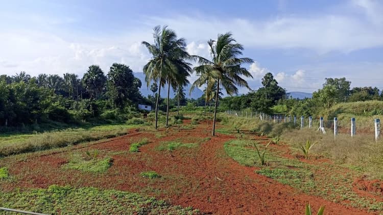 farm land for sale