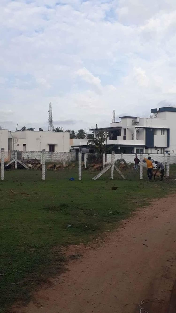 Single Property Image