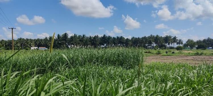 Single Property Image