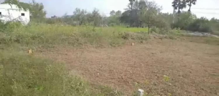 Agriculture Land For Sale