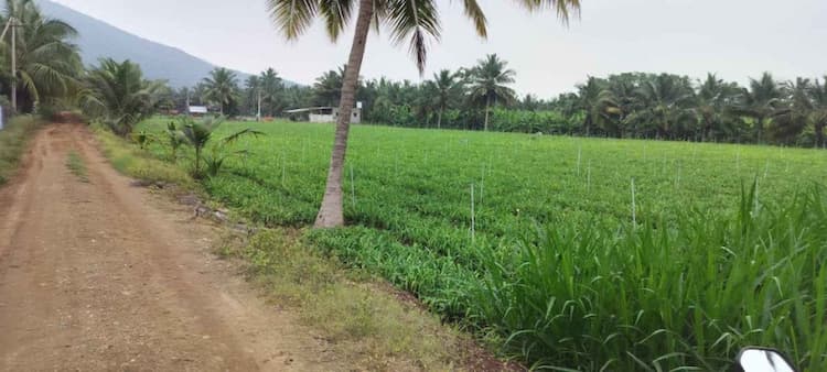 Single Property Image