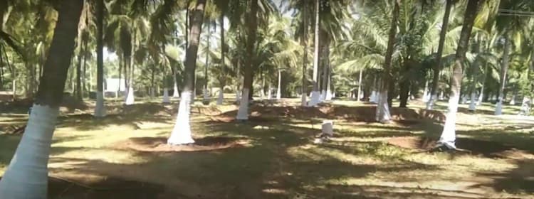 5.30 Acre Land for Sale